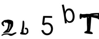 Beeld-CAPTCHA