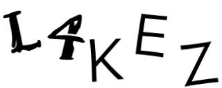 Beeld-CAPTCHA