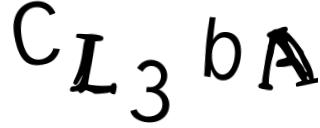 Beeld-CAPTCHA