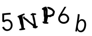 Beeld-CAPTCHA