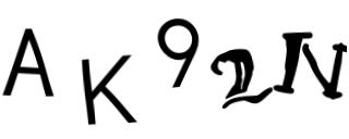 Beeld-CAPTCHA