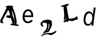 Beeld-CAPTCHA