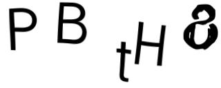 Beeld-CAPTCHA