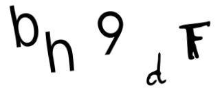 Beeld-CAPTCHA