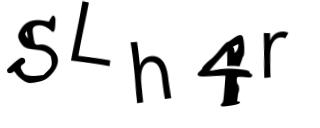 Beeld-CAPTCHA