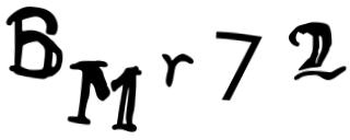 Beeld-CAPTCHA