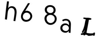 Beeld-CAPTCHA
