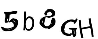 Beeld-CAPTCHA