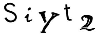 Beeld-CAPTCHA