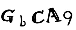 Beeld-CAPTCHA