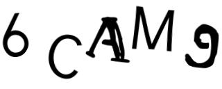 Beeld-CAPTCHA