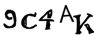 Beeld-CAPTCHA
