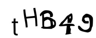 Beeld-CAPTCHA
