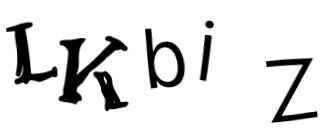 Beeld-CAPTCHA