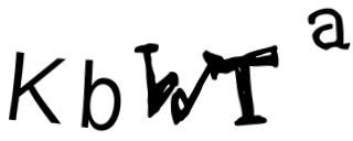 Beeld-CAPTCHA