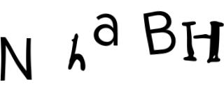 Beeld-CAPTCHA