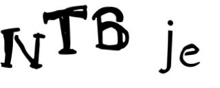 Beeld-CAPTCHA