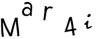Beeld-CAPTCHA