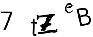 Beeld-CAPTCHA