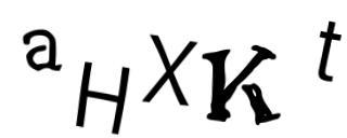 Beeld-CAPTCHA