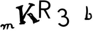 Beeld-CAPTCHA