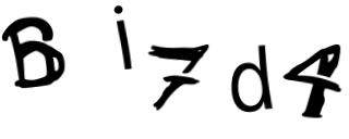 Beeld-CAPTCHA