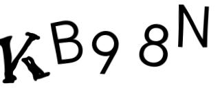 Beeld-CAPTCHA