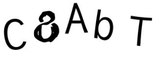 Beeld-CAPTCHA