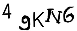 Beeld-CAPTCHA