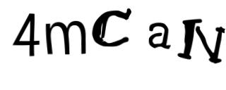 Beeld-CAPTCHA