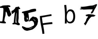 Beeld-CAPTCHA