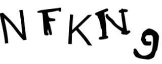 Beeld-CAPTCHA