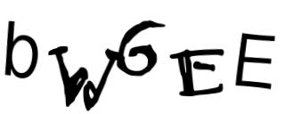 Beeld-CAPTCHA