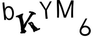 Beeld-CAPTCHA