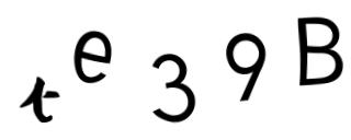 Beeld-CAPTCHA