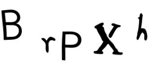 Beeld-CAPTCHA