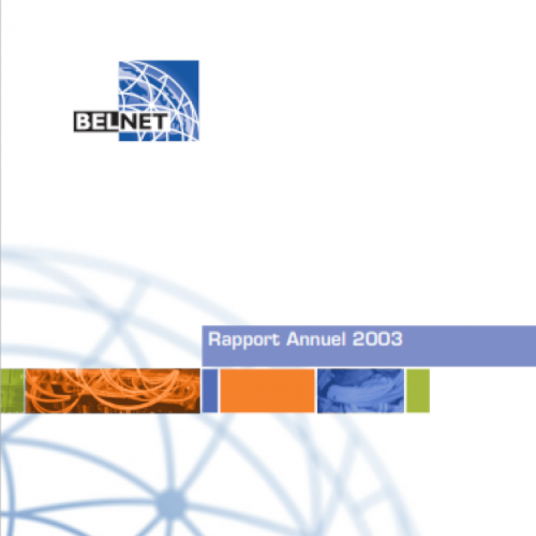 Couverture du rapport annuel 2003 représentant un réseau de façon abstraite.