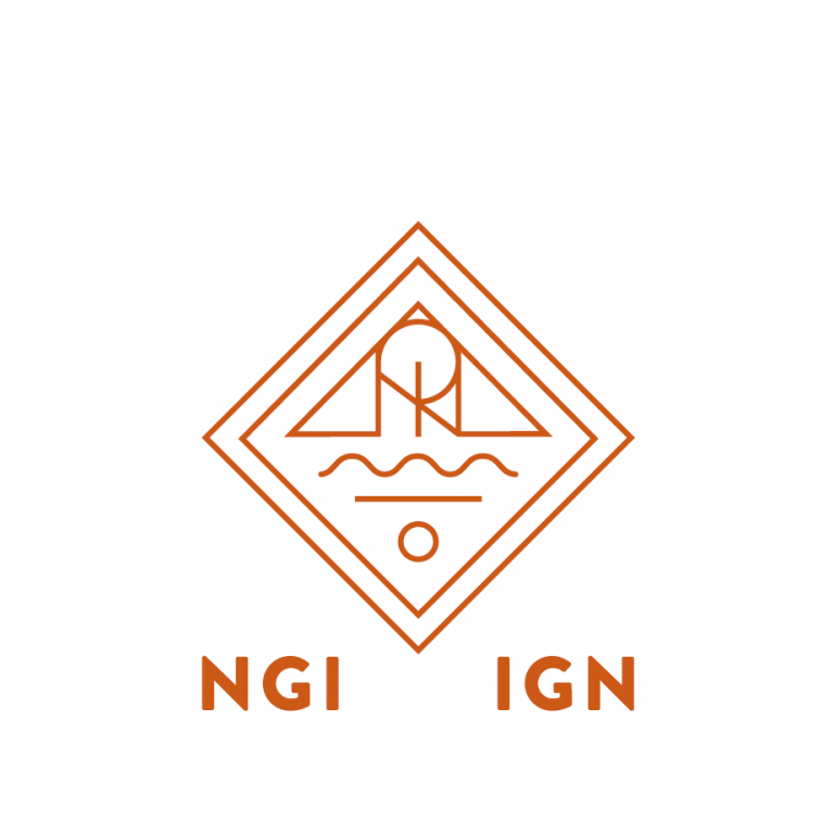 NGI IGN logo